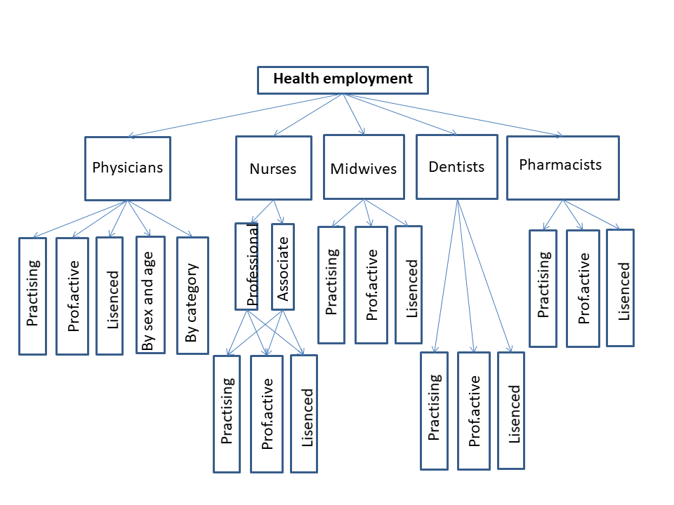 Metadata structure of European database on human and technical resources for health